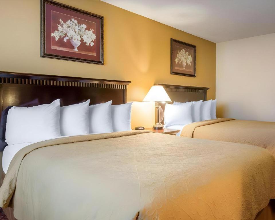 Quality Inn San Bernardino Zewnętrze zdjęcie
